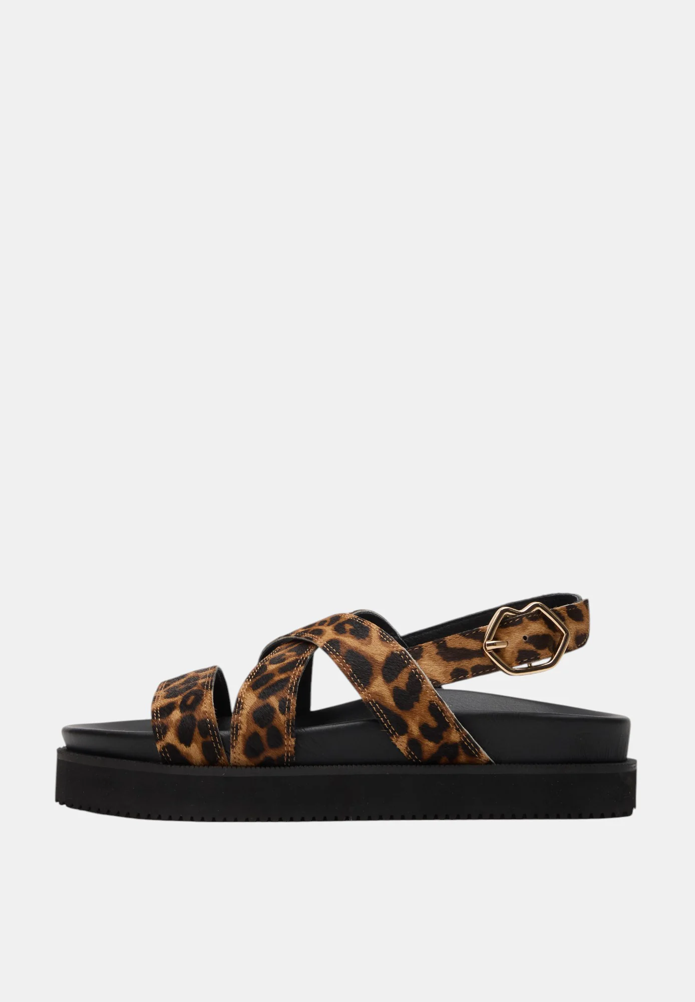 Marguerite-Cuir Leopard - Image 5