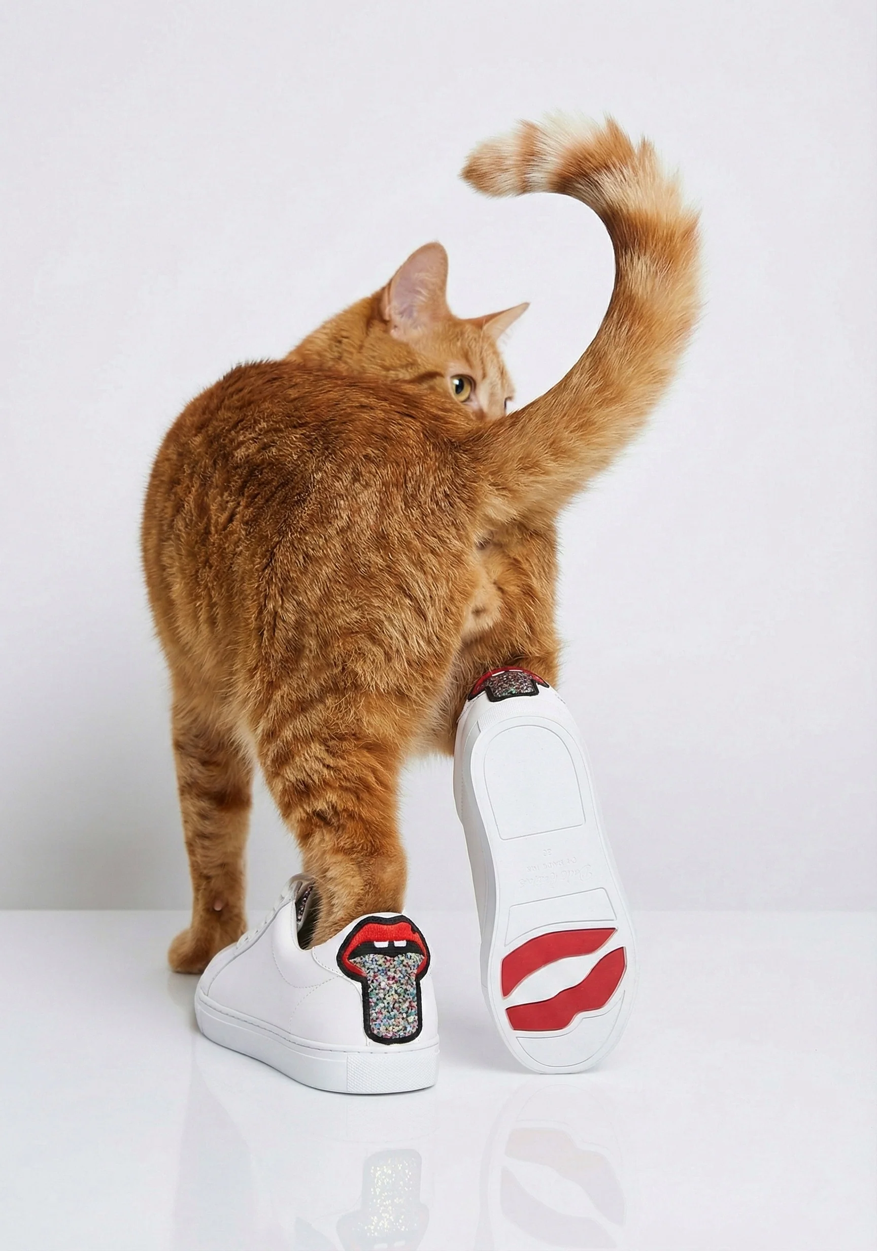 Baskets en cuir-Simone-Glitter Tongue - Image 4